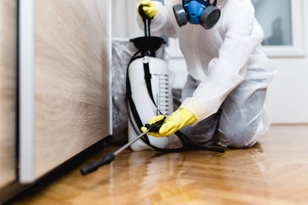 Best Affordable Pest Control Services  in Hollywood Park, TX