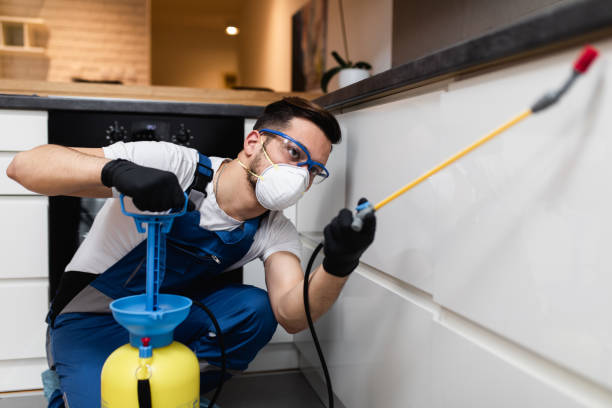 Best Pest Control for Businesses  in Hollywood Park, TX