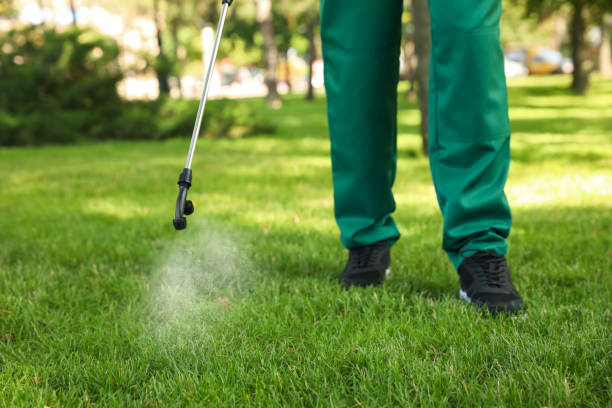 Best Termite Control Services  in Hollywood Park, TX