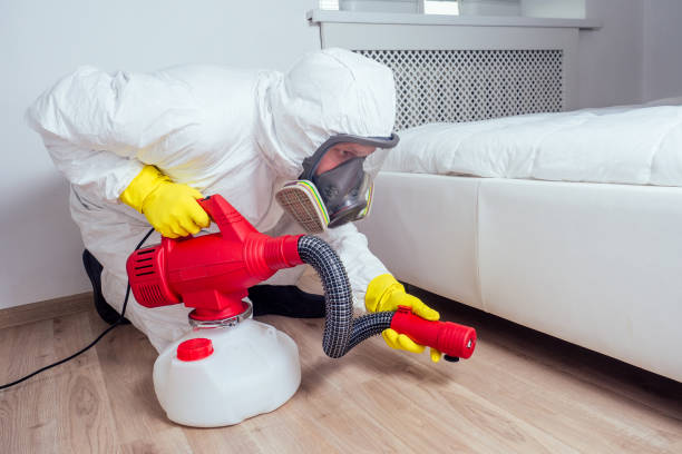 Best Pest Removal Services  in Hollywood Park, TX