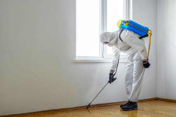 Best Rat Extermination Near Me  in Hollywood Park, TX