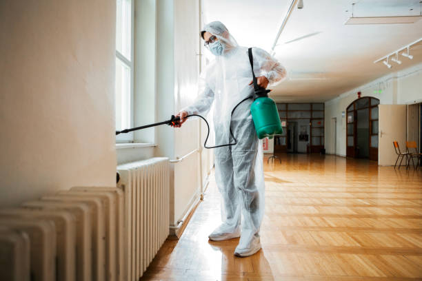 Best Pest Inspection Near Me  in Hollywood Park, TX